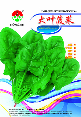 菠菜包裝