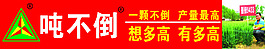噸不倒
