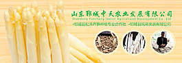 高品质芦笋网站banner