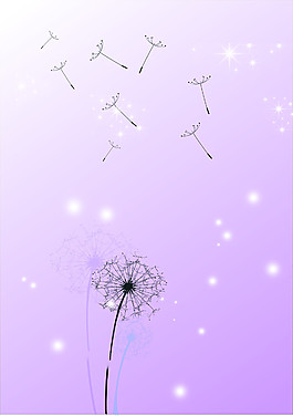 蒲公英展板