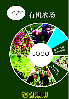 绿色农场展架