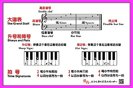 鋼琴大譜表展板