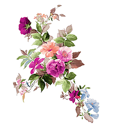 花素材