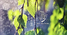 24节气之雨水