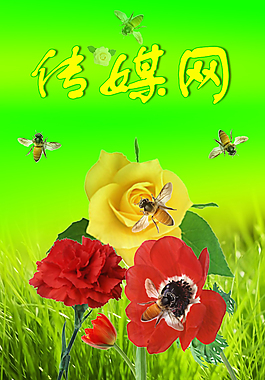 傳媒