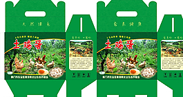 包裝設計圖片