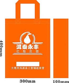 洱泰永丰袋子