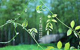 雨中