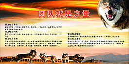 團(tuán)隊(duì)就是力量