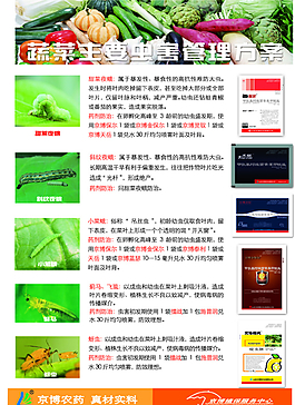 蔬菜主要蟲害管理方案圖片