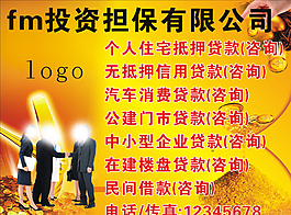 投資擔(dān)保公司背景墻圖片