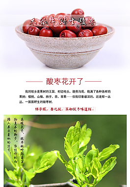 酸棗詳情頁