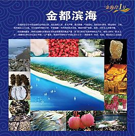 展板