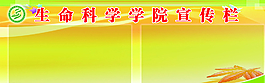 展板圖片