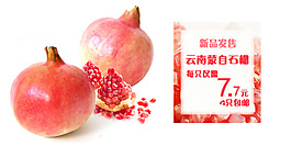 云南蒙自红石榴促销海报