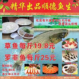 粵菜館創(chuàng)意魚生吃魚海鮮海報(bào)