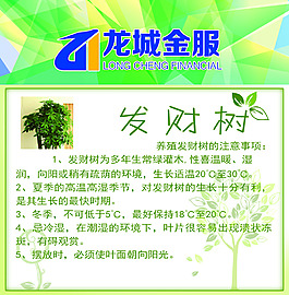 植物簡介卡片