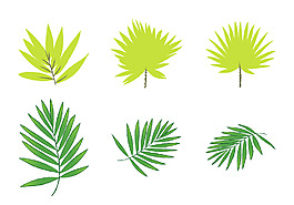 植物設(shè)計圖