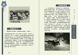 狼