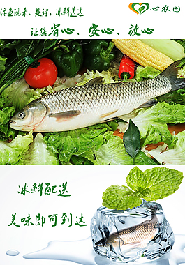草魚淘寶詳情頁制作