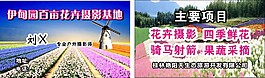 伊甸園名片