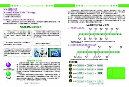 彩頁康愛