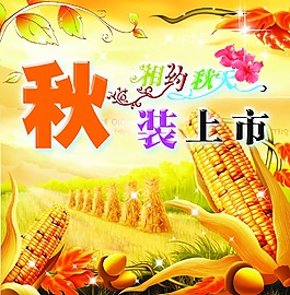 秋装上市模版