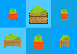 植物設(shè)計圖