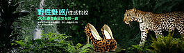 淘寶天貓京東豹紋女鞋海報圖片