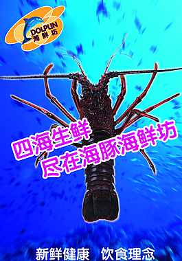 海信基圍蝦海報招貼圖片