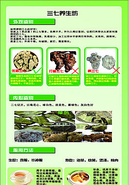 三七養生