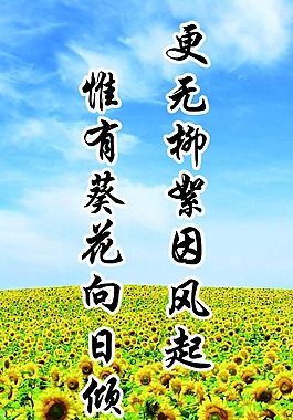 更無柳絮因風起 名言警句 背景淡雅