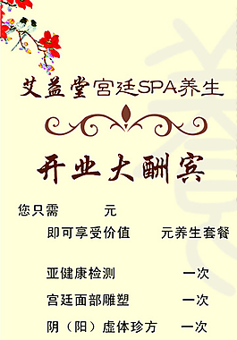 宮廷養(yǎng)生SPA開業(yè)養(yǎng)女古典