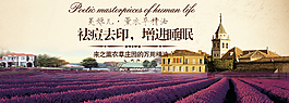 精油養(yǎng)生海報(bào)