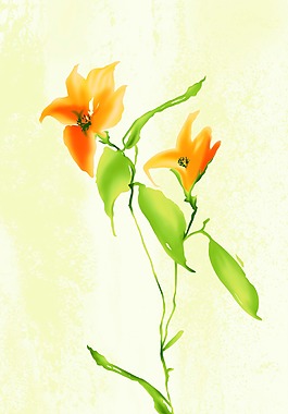 插畫手繪鮮花