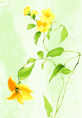 手繪鮮花