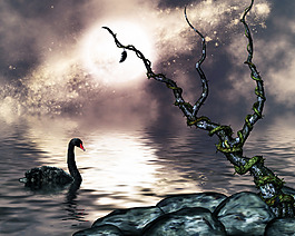 高清梦幻美景图案背景jpg素材
