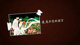 戀愛花季婚禮現(xiàn)場AE模板