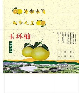 文旦