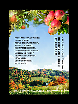 紅蘋果海報、雜志