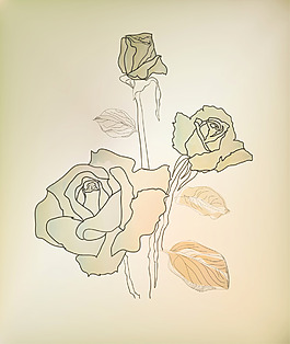 玫瑰花