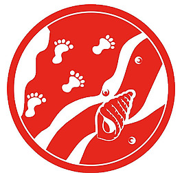 海