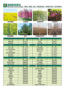 花卉苗木DM