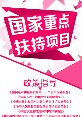 X展架