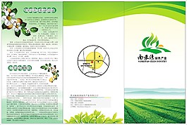 山油茶三折頁