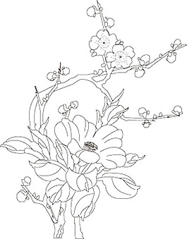 白描梅花