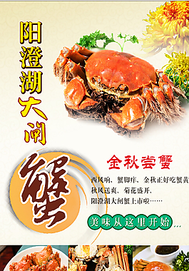 陽(yáng)澄湖大閘蟹