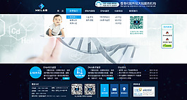 企業(yè)網(wǎng)站