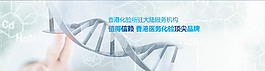 企業(yè)網(wǎng)站