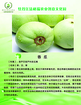 果蔬介绍图片